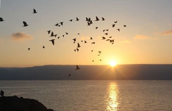 Sunset on Israel