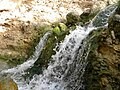 water is precious in Israel - the Garden of Eden
